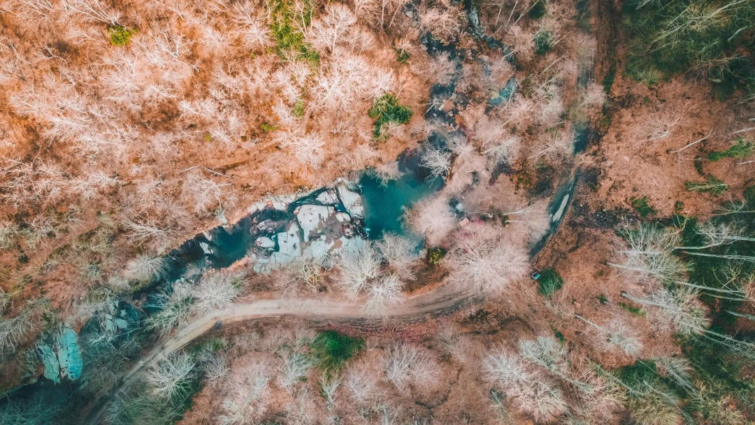 Trakya'da Kamp Yapmak İçin En İyi 5 Yer