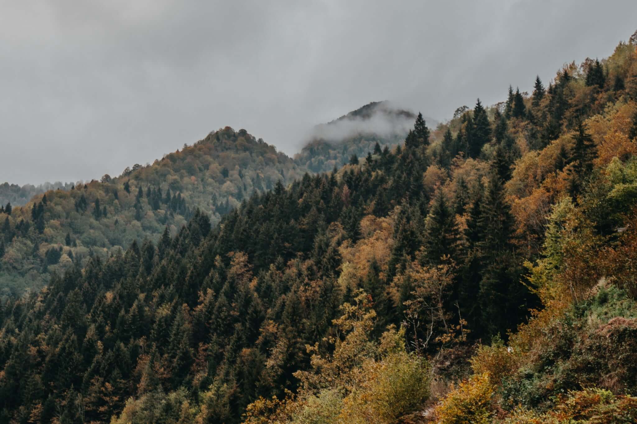 Karadeniz'in En Güzel Fotoğraf Noktaları